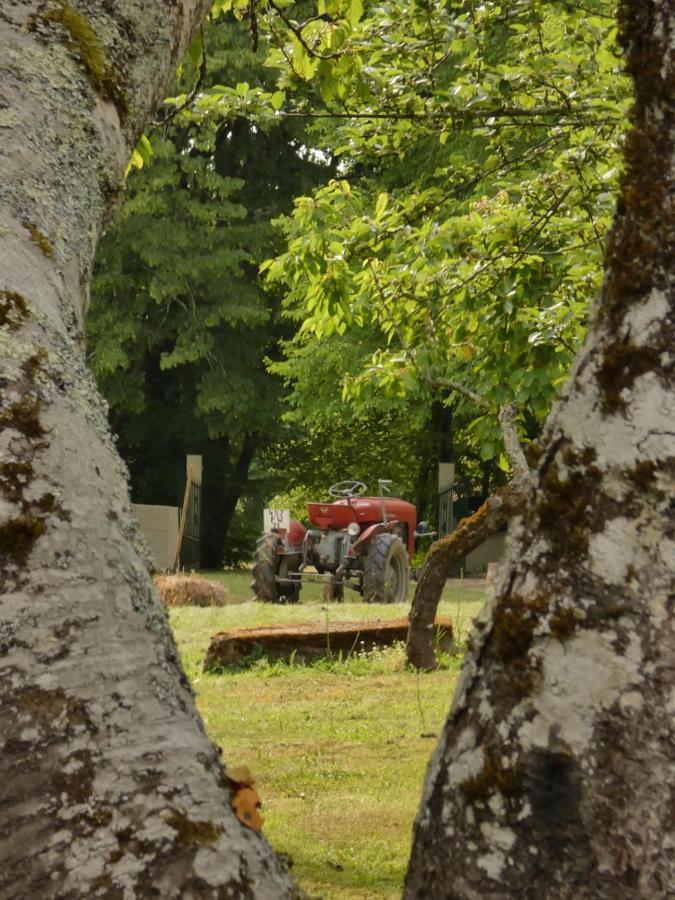 Villa Domaine Du Venet Montcony Esterno foto